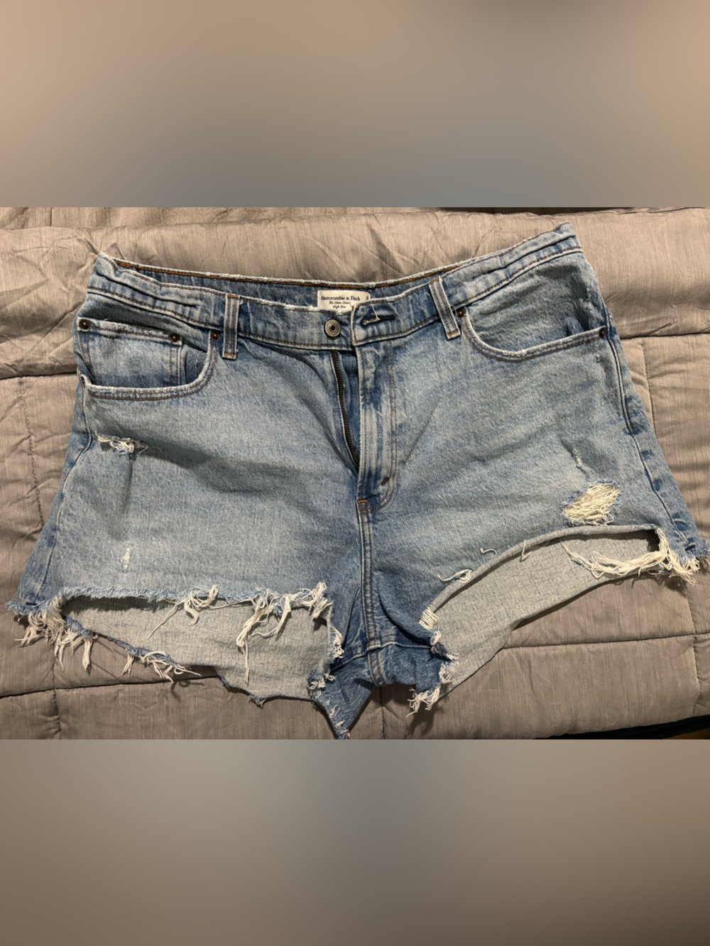 Abercrombie Denim Shorts - Curve Love